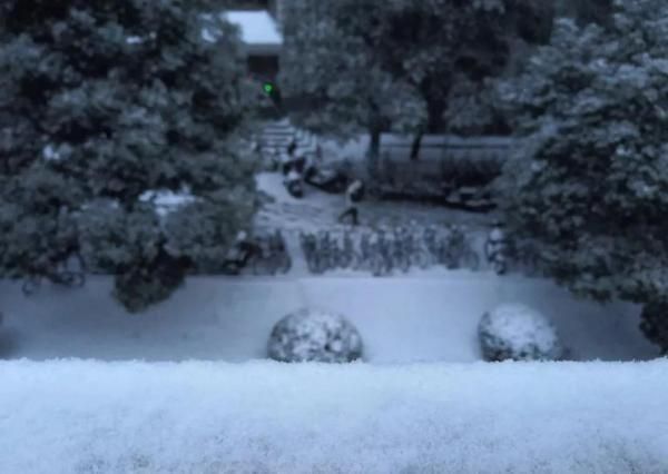 下雪兴奋成面瘫
