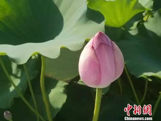 缪璐 摄
