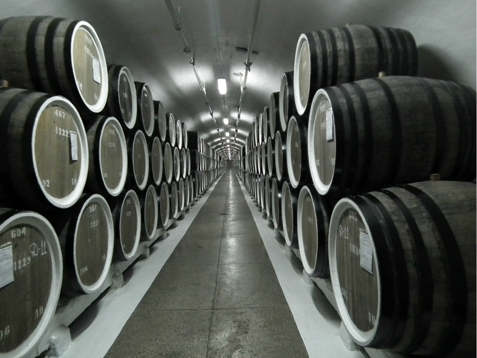 【中国免签证国家】2017中国免签证国家，对中国免签证的国家有哪些