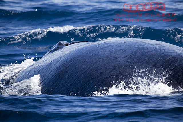 【中国免签证国家】2017中国免签证国家，对中国免签证的国家有哪些