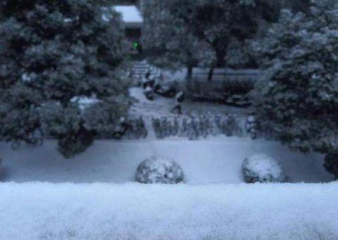 一日浪读:男子放弃财产却要提供这证明|女孩见雪兴奋面瘫了